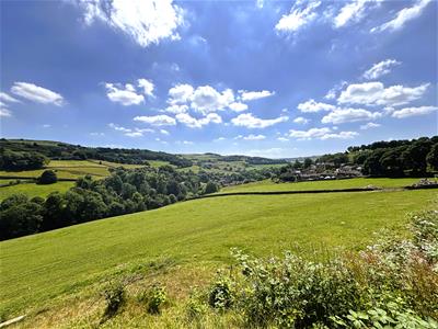 Picture 21